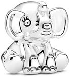 Pandora Friends Charm Collection, 11,7 mm, Metal, No Gemstone