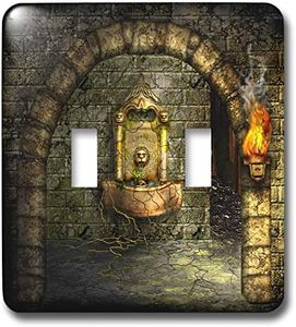 3dRose LLC LSP_11908_2 A Medieval Room Features an Enchanted Fountain as a Torch Burns Nearby Double Toggle Switch