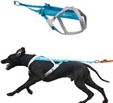 Non-stop dogwear Freemotion harness