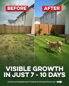 Grassias Fast Growing Grass Seed 1.7kg – Hard Wearing, Pet Friendly Lawn Seed for Overseeding & New Lawns, Winter & DEFRA Approved