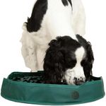Reggie Snuffle Mat for Dogs, for Ca