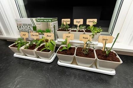 Indoor Herb Garden Kit with 9 Varieties - Seeds for Growing House Plants - Great Gift for Birthdays, Housewarming, Special Occasions - Essential for New Home Kitchens - Live Plant Starter