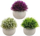 Croch Artificial Plants 3 Potted Mi