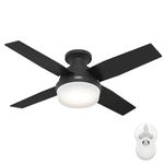 Hunter Fan Company 52390 Dempsey Ceiling Fan, 44 Inches, Matte Black