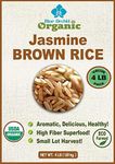 Organic Brown Jasmine Rice from Thailand - Whole Grain Vegan Natural Healthy Superfood Gluten-free - 4 LB