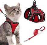 rabbitgoo Cat Harness and Lead Set, Escape Proof Cat Vest with Leash, Soft Comfortable Step-in Kitten Harness, Adjustable and Reflective for Safe Easy Walking, Red, Small