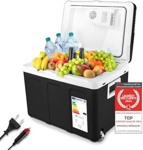 TZS First Austria Glacière électrique portable 45L, Mini réfrigérateur, 12 V et 230 V pour Voiture, Camping, Boîte Glacière, Glacière thermoélectrique avec Roulettes
