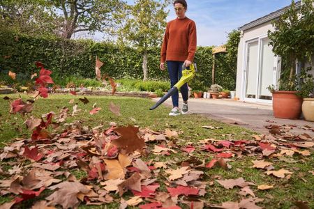 Ryobi 18V Cordless Leaf Blower – Lightweight Handheld Garden Tool