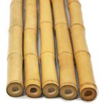 Backyard X-Scapes Bamboo Poles Size: 1" D x 8' H; 25 Piece Bundle