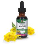 Nature's Answer Mullein Leaf, 1-Ounce