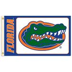 BSI PRODUCTS, INC. - Florida Gators 3’x5’ Flag with Heavy-Duty Brass Grommets - UF Football, Basketball & Baseball Pride - High Durability - Designed for Indoor or Outdoor Use - Great Gift Idea