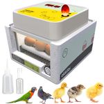 Okköbi OBI-12 Egg Incubator for Hatching Chickens, Ducks & Other Birds + New 2024 + Automatic Egg Turner + Temperature Control + Humidity Display + Integrated Egg Candler + 5 Year Assurance