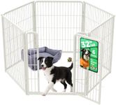 FXW Homeplus Unleashed Indoor Dog P