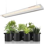SPIDER FARMER SF600 Grow Lights Full 2x4ft Coverage Spectrum Grow Light for Indoor Plants Slim Design 384 Diodes LEDs Grow Lights Hydroponics Seedling Veg Flower Bloom High Efficiency Growing Lamp