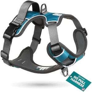 Embark Adventure Dog Harness, No Pull Dog Harness with 2 Leash Clips, Dog Harness for Large Dogs No Pull. Front & Back with Control Handle, Adjustable Blue Dog Vest, Soft & Padded for Comfort