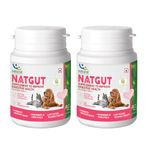 Natural Remedies Natgut Supplement to Improve Digestive Health, Real Chicken Liver for Dogs, Cats & Pups of All Breeds, 20 Tablets (Pack of 2)