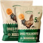 HATORTEMPT Non-GMO Dried Mealworms- 10lbs and 5 lbs (15 lbs) Bundle Kit, Premium Organic High-Protein Chicken Food. Excellent Feed for Chickens, Wild Birds, Bluebird, Quails, Ducks, Hedgehog, Reptiles