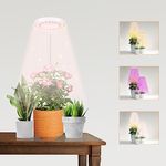 LED Grow Light 1-Pack GooingTop,Halo Plant Lamp for Indoor Plants Growing, White Circle Low Light for Bonsai Succulents Mini Small Plants,Auto Timer 4/8/12/18 Hrs (with USB Charger)