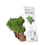 Click and Grow Smart Garden Dwarf Basil Plant Pods, 9-Pack