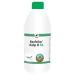 Compo Expert Basfoliar Kelp O SL | Natural Biostimulant Fertilizer | Seaweed Extract (Ecklonia Maxima) for Enhanced Plant Growth & Health | 250ml