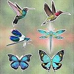 MWOOT 12 Pieces Magnets Screen Door Decals,Double Sided Protector Magnetic Screen Butterfly Dragonfly Hummingbird Stickers,Screen Door Protector Decorative Protect for Pets Children Birds(6 Styles)