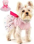 PETANGEL Small Dog Dress Birthday Clothes for Small Dogs & Cats, Polka Colorful Print Mesh Girl Dog Dress, Summer Tutu Princess Pet Puppy Clothing (Size: 2XL, Chest: 55cm) Only for Small Breed