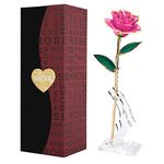 24k Gold Rose,Forever Roses Flower Long Stem 24k Rose Dipped Real Rose, Best Gift for Valentine's Day, Mother's Day, Anniversary and Birthday (Pink)