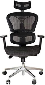 SK Designer Living Replica Ergohuman Ergonomic Japanese Mesh Desk/Office Chair - Black