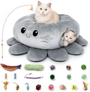 VIEFIN Cat