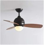 Modern Ceiling Fan Light，Macaron Co