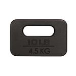 Yes4All 10 lb Ruck Weight – Cast Iron Ruck Weight for Walking, Jogging, and Running