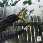 Madvillainy Remixes [VINYL]