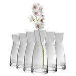 Bormioli Rocco Vases