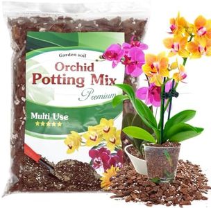 Orchid Pot