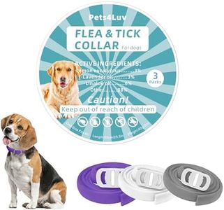 Collare antipulci per cani, 3 colori, durata fino a 2 anni, 65 cm, ingredienti oli essenziali al 100%