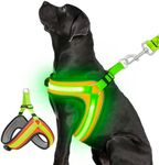 Ayaseen Light Up Dog Harness-Led Dog Harness Rechargeable Lighted Dog Harness for Night Walking,No Escapes,Adjustable Glow Green Light Vest Soft Harness Super Bright(Green, L)
