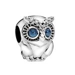 Wedanor Owl Charm 925 Sterling Silver Pendant, Jewellery Beads Gifts for Women Bracelet Necklace