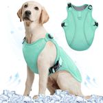 Kuoser Dog Cooling Vest, Breathable Cool Coat, Reflective, Green, XXL
