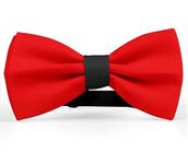 Red Bow For Gift