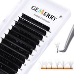 GEMERRY Lash Extensions Easy Fan Lashes D Curl Eyelash Extension Mixed Tray Volume Lashes Extension Eyelash Fan for Lash Extensions Easy Fan Volume Lashes 1s Blooming Fans Self Fanning Lashes Matte Black (0.07D-Mix8-14)