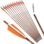 ZSHJGJR 31 Inch Carbon Archery Arrows Spine 340 400 500 600 Hunting Arrowswith Removable Tips Natural Feather Fletching Targeting Arrows for Compound & Recurve & Traditional Bow 12pcs (orange, spine 400)