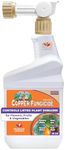 Bonide Captain Jack's Copper Fungicide, 16 oz Ready-to-Spray Disease Control for Organic Gardening, Controls Mildew & Blight