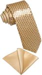 DiBanGu Mens Sequin Skinny Tie and Pocket Square Set,Shiny Solid Satin Slim Necktie for Party Wedding, Champagne Solid