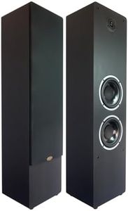 Divine Audio TS120 120W Floor Standing Speakers Pair
