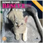 2025 Rescue Kittens Monthly Wall Calendar by Bright Day, 12 x 12 Inch