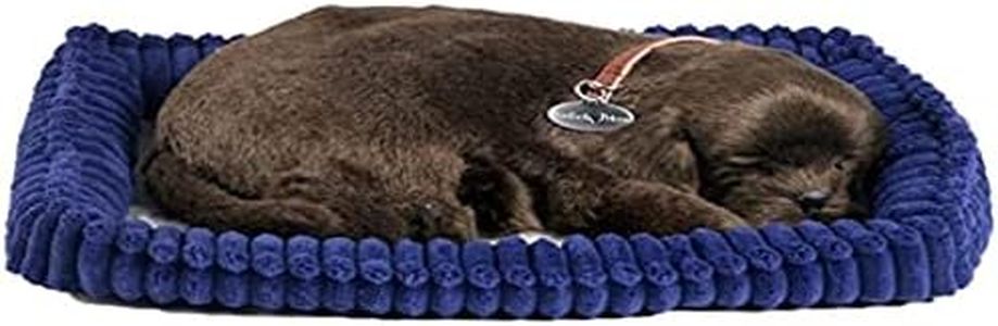 Plenty Gifts Perfect Petzzz Soft Chocolate Labrador, Universel, Taille Unique
