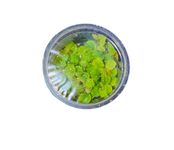 Live Aquatic Plants, Aquarium Plants Tissue Culture (Red Root Floater)