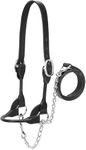 Horse Halter For Colt