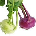 Magnif Knol Khol Combo of Green and Purple | Ganth Gobhi Combo of Green and Purple for Gardening with Hybrid Quality Seeds