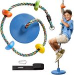 LAEGENDARY Tree Swing for Kids - Single Disk Outdoor Climbing Rope with Platforms, Carabiner & 4 Ft Tree Strap - Playground Accessories - Colored Rope